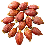 Gardenia bulk gardenia dried red gardenia water gardenia flower fruit tea 17.6oz