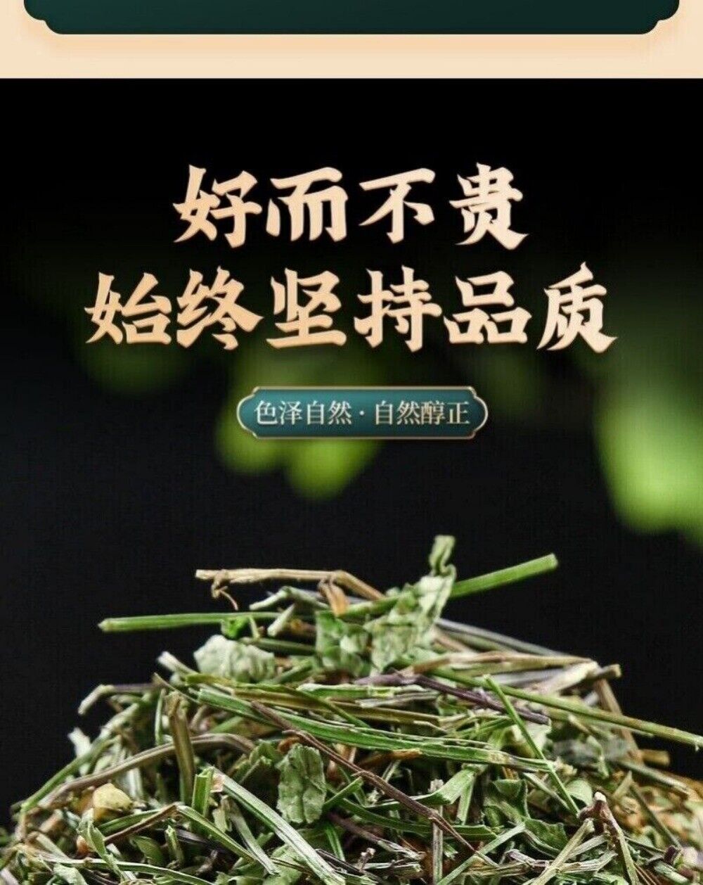 Wild Scutellaria Barbata Herb 100g Premium Sun Dried Fresh Harvested Natural