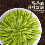 2025 Mingqian Longjing Green Tea Spring Harvest Premium Gift Box Small Can