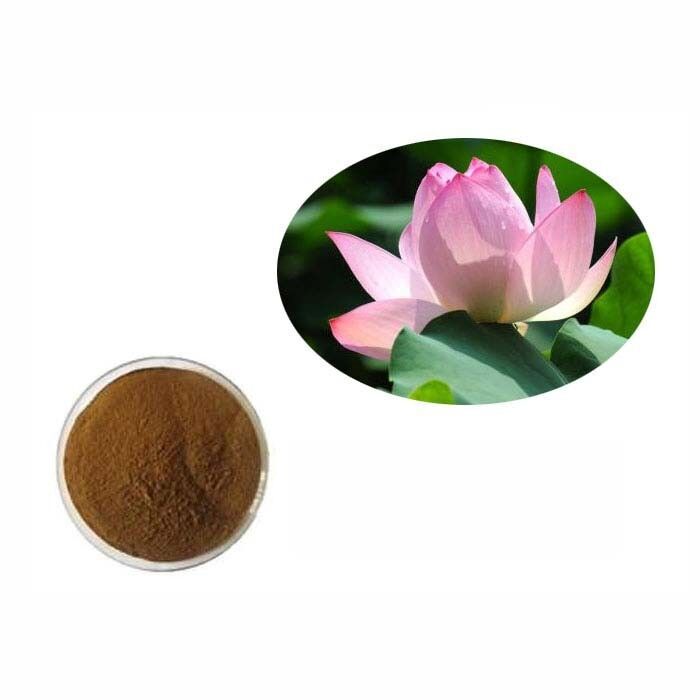 100g Nelumbo Nucifera 10:1 Extract Powder, Lotus, Stimulates Blood Flow Main image