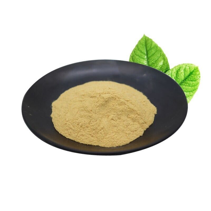 500g Ursolic Acid 25% Organic Pure Loquat Leaves Extract Powder Main image
