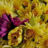 Taiwan Jiupin Perfumed Lotus Flower Tea New Flower Golden Lotus Lotus Flower Tea