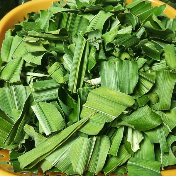 Getrocknete Pandan ganze Blätter  Natürliche Bio-Rampe Pandanus Amaryllifolius