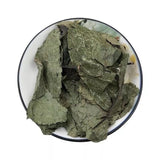 Organic Dried Folium Eucommia Eucommia Ulmoides Oliv Eucommia leaf Du Zhong Ye