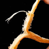 Shredded Squid Dried Seafood Snack Ready-to-Eat Squid Strips for Tasty Munch