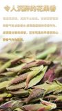 Yunnan Pu'er Tea Purple Buds Early Spring New Tea MingQian Spring Tea Nectar Tea