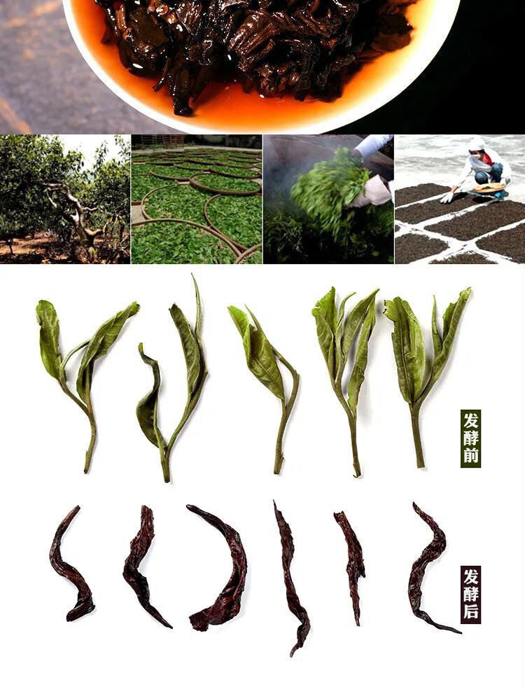 357g Yunnan Pu'er Tea Mature Tea Old Pu'er Yunnan Qizi Cake Aged and Fragrant