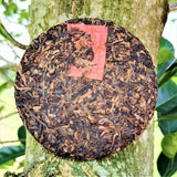 Chinese Famous Pu Erh Tea Cake Golden Bud Round Tea 80G Aged Ripe Puer Tea Cake