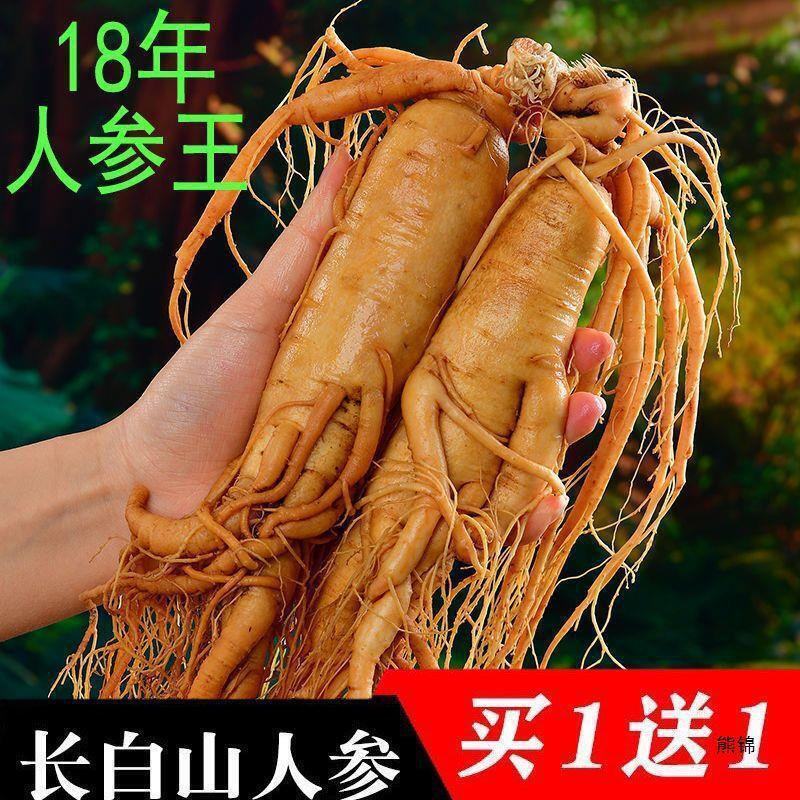 Good for Wine Soaking and Soup Premium Fresh Wild Ginseng from Changbai Mountain