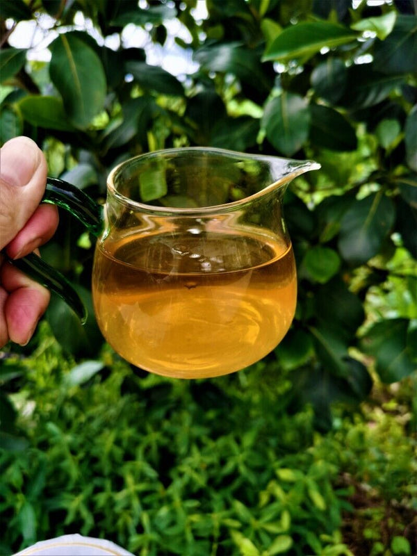 Yiwu Jiao Mu Pu'er Tea Yunnan Raw Tea Cake Primeval Forest Ecological Tea 12.6oz