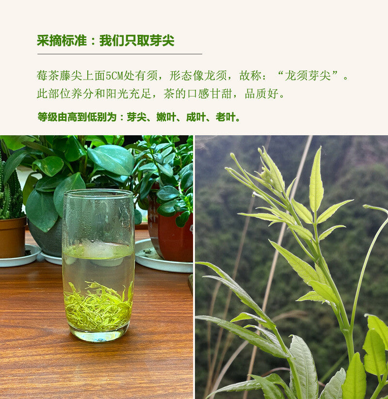 Canned Tujia Mao Rock Bud Tip Vine Tea Wild Tea Buds 50g Zhangjiajie Vine Tea