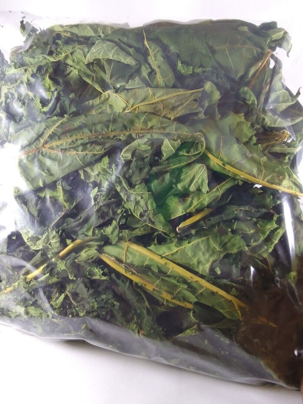 Dried Papaya Leaf Herbal Tea Made from Whole Leaves for Wellness and Digestion