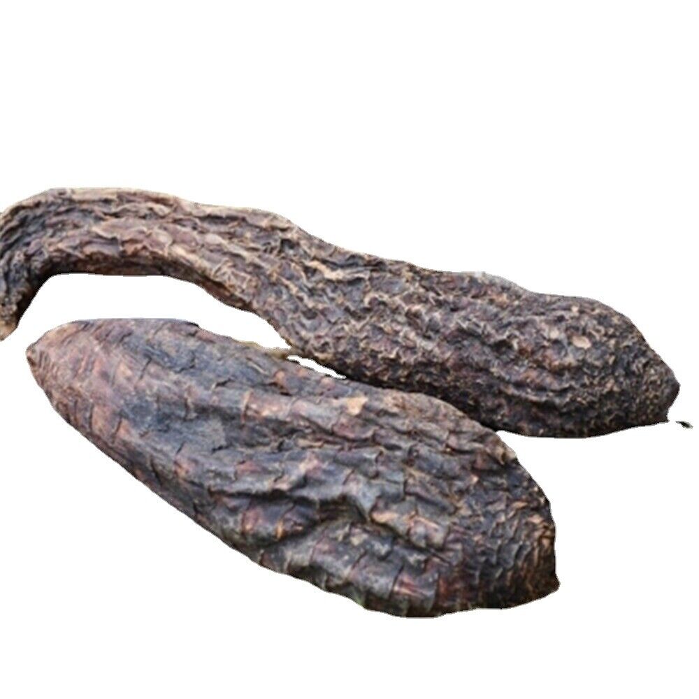 Natural Sinkiang Wild Desert Life Avalanche Herb Tonic Rou Song Rong 17.6oz