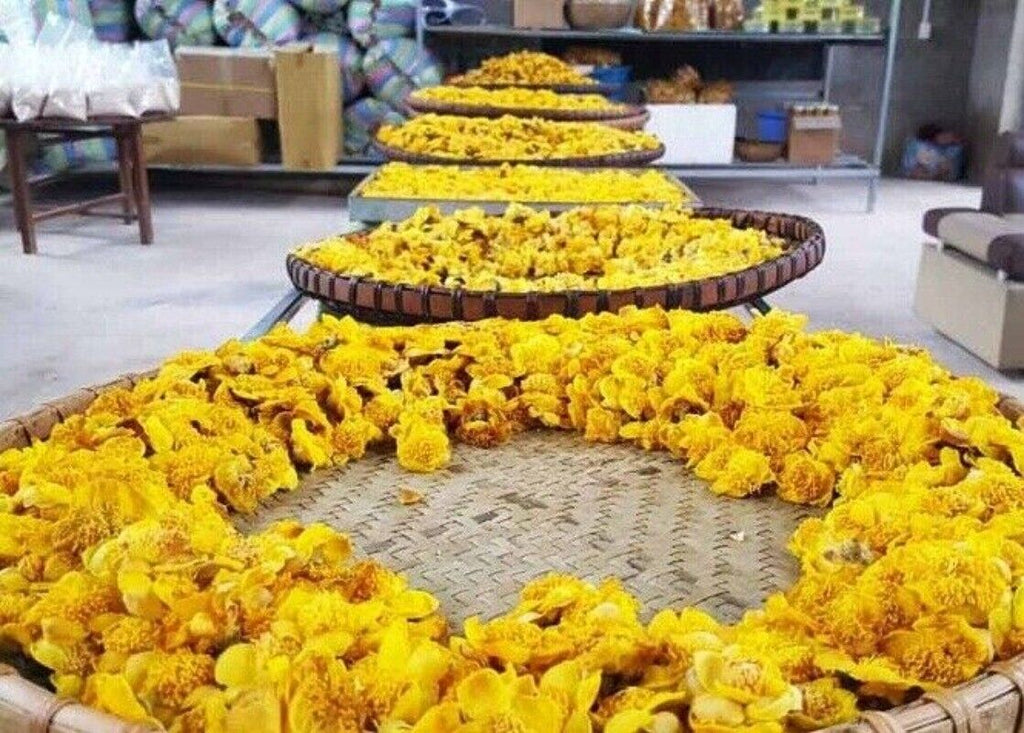 High Quality Dried Golden Camellia Golden Camellia Bloom Tea Flower Tea 500g