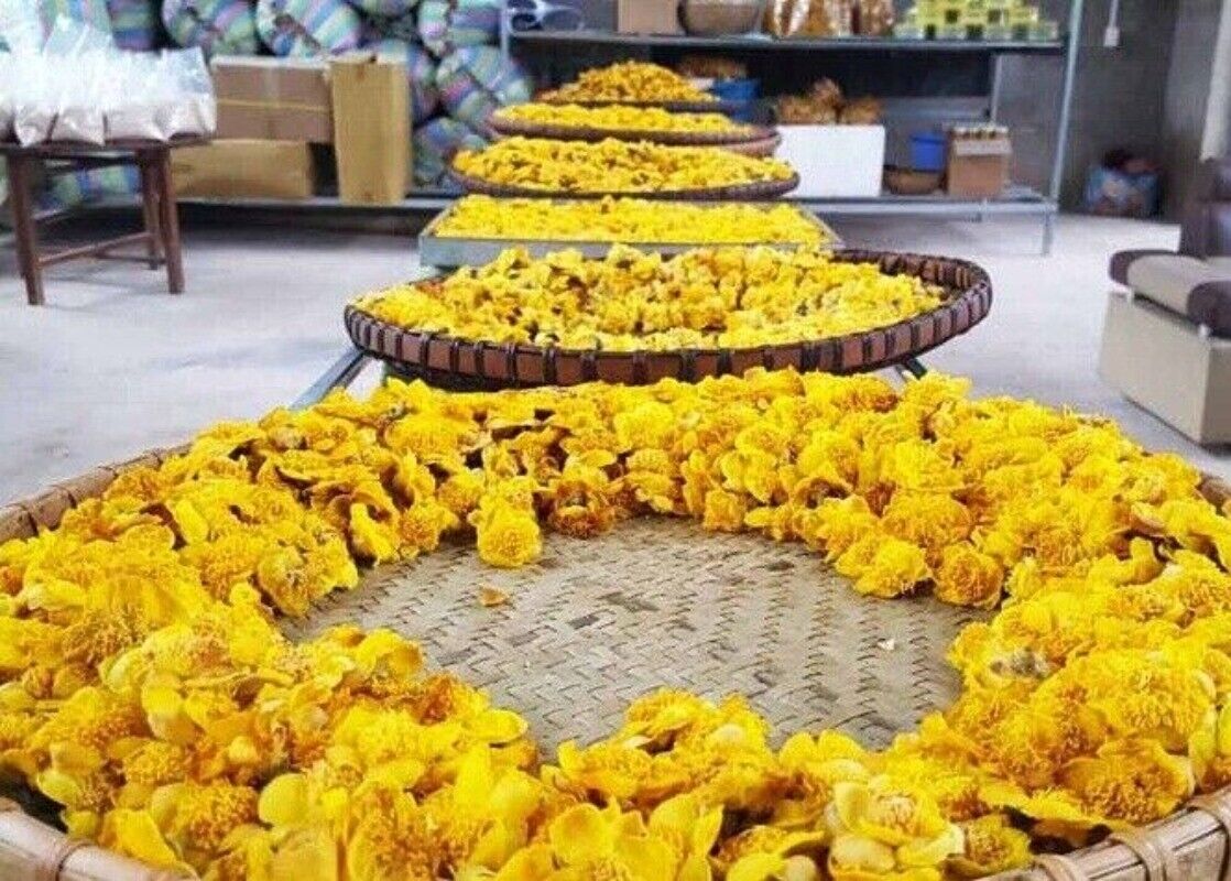 High Quality Dried Golden Camellia Golden Camellia Bloom Tea Flower Tea 500g