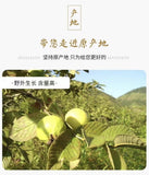 Premium Dried Guava 60g Red Heart Guava Fruit Tea Slices