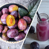 Prune Fiber Fruit Drink Juice Dietary Fiber Fruit Vegetable Enzyme Drink 150g