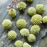 Green Flower Tea Snow Lily Tibetan Green Flower Tea Chinese Specialty Herbal tea