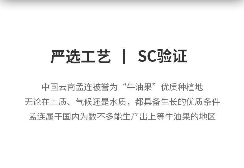 Solid Drink Concentrated Powder Food Grade Baking Raw Materials Avocado Powder