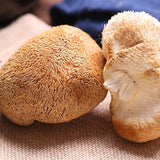 Fresh Dried Hericium Mushroom Sulfur-Free Loose Bulk Edible Fungi