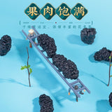 Selected Dried Mulberry Large Fruit Sand-free No-wash Mulberry Health Tea 500g