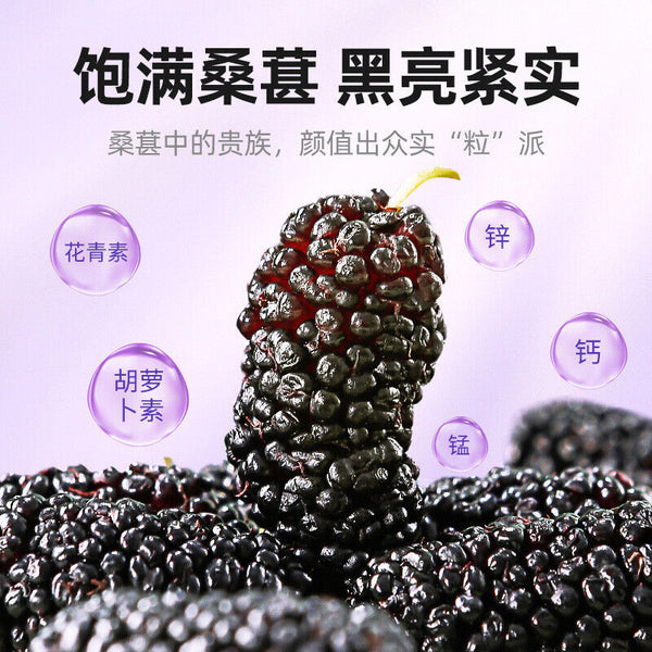 200g Dried Black Mulberries No Sand Premium Grade Sweet and Fragrant
