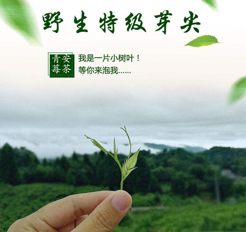 Wild Tea Buds 50g Canned Zhangjiajie Vine Tea Tujia Mao Rock Bud Tip Vine Tea