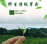 Wild Tea Buds 50g Canned Zhangjiajie Vine Tea Tujia Mao Rock Bud Tip Vine Tea