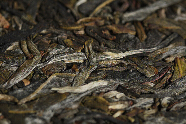 357g Xigui Old Tree Tea Cake Bright Front Spring Tea Yunnan Puerh Tea