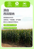 Purple Glutinous Corn Gift Box – Yunnan Specialty Sweet & Soft Corn
