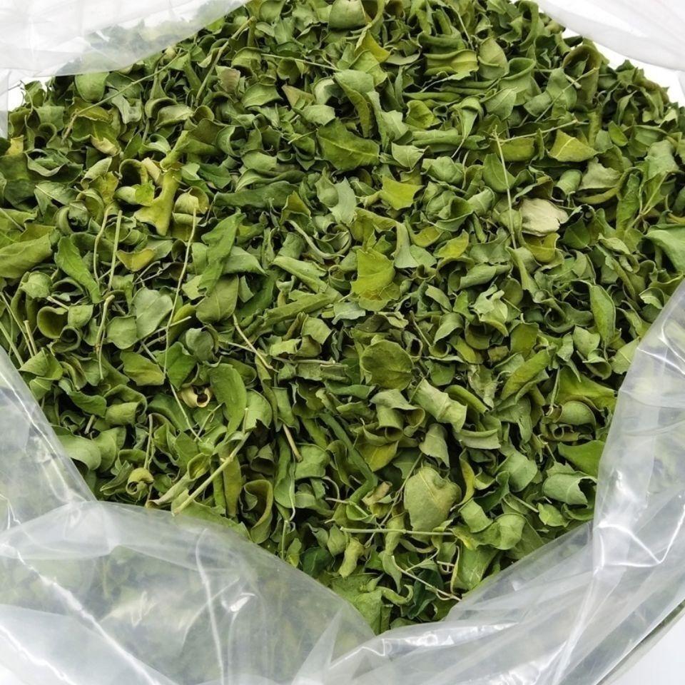 Natural Premium Quality New Leaf Natural Yunnan Moringa Tea Moringa Leaves Main image