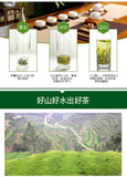 Rainy Season Dragon Well Green Tea 100g Spring Harvest Loose Leaf