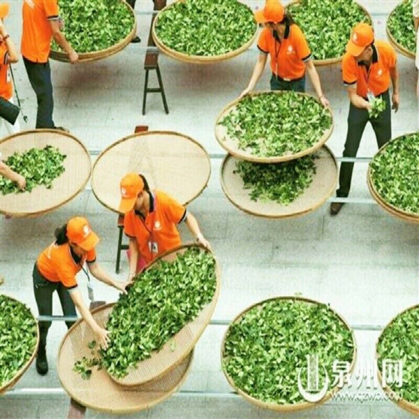 Yunnan Menghai Raw Pu-erh Cake 357g Green Sheng