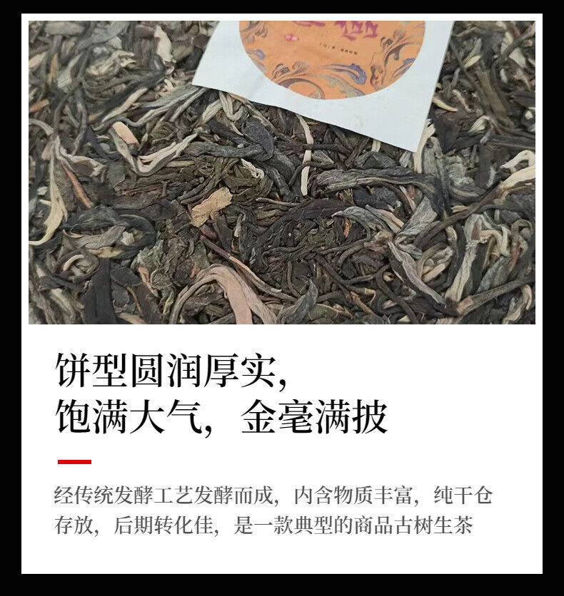 Yunnan Pu'er Tea Pagong Gushu First Spring Pu'er Raw Tea 357g Cake Tea