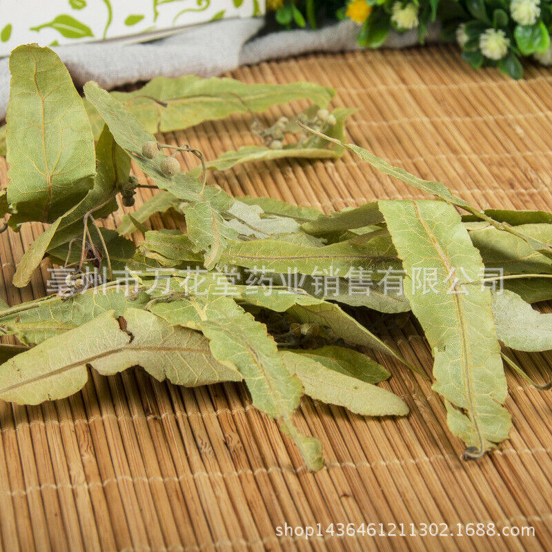 Natural Bodhi Leaf New Products Linden Tea Herbal Tea Tilia Europaea Secondary image