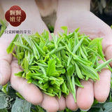 Fragrant Tea Alpine Yunwu Green Tea Wholesale Rizhao Fried Green Strong Tea