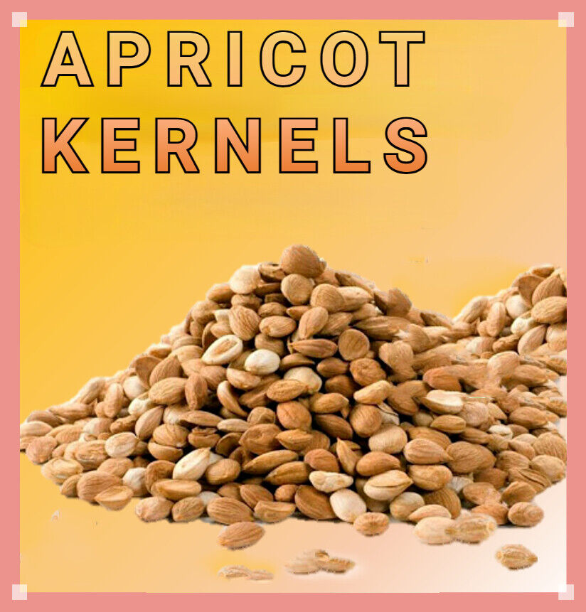 ✅Certified Organic Apricot Kernels Raw - Premium Grade Main image