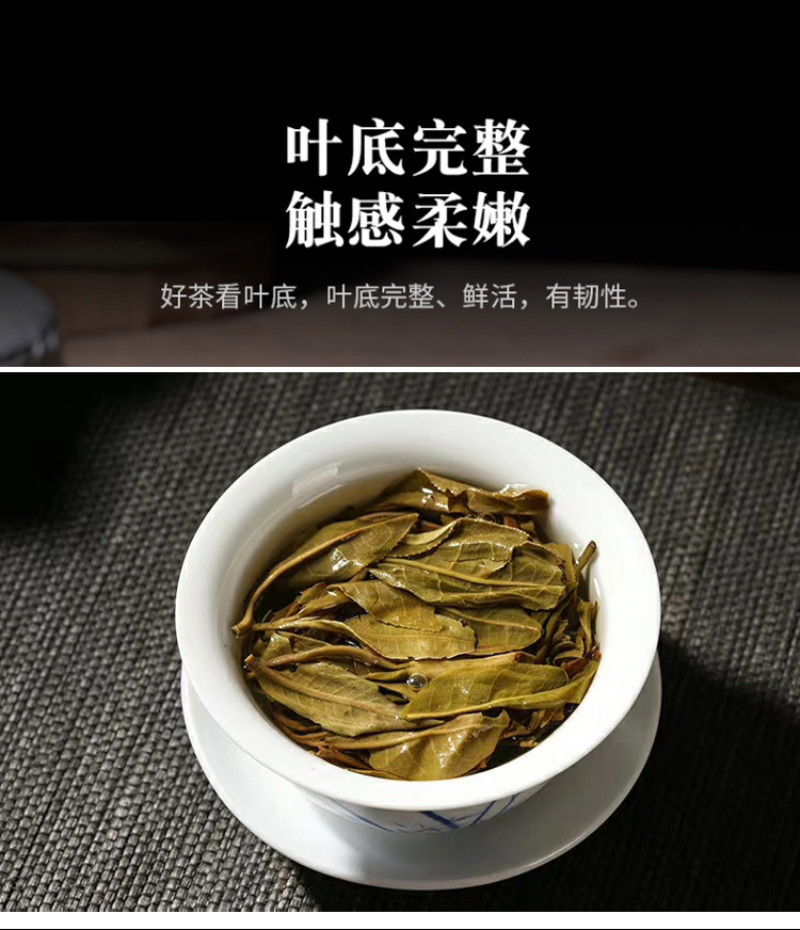 357g Yunnan Pu'er Tea Raw Tea Da Xueshan Lincang Ancient Tree Arborvitae