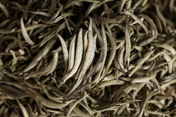 500g Puerh Tea Raw Tea White Hair Silver Needle Single Bud White Tea Loose Tea