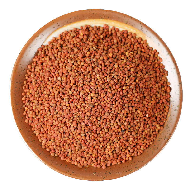 500g  Health Care Featured Natural Healthy Herbal Tea Original Chu Shi Zi 精选楮实子 Main image