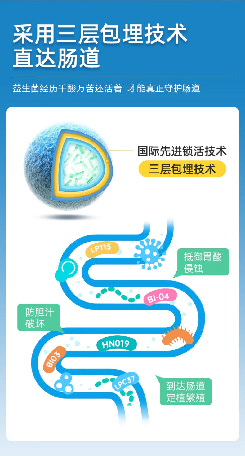 Active Intestinal Probiotics Powder Solid Drink Probiotics Freeze-dried Powder