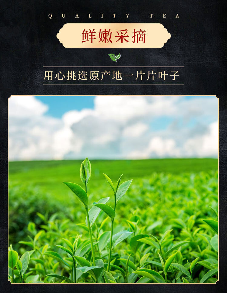 Mingqian Longjing Tea New Tea Bagged Loose Tea Fragrant Green Tea 30g