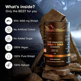 100% Pure Himalayan Shilajit Gummies | With Ashwagandha, Gokshura & other