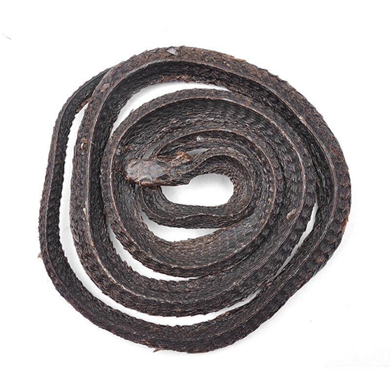 Black Snake Powder Fresh Ground Chinese Herbs Wū Shāo Shé Zaocys Dhumnades