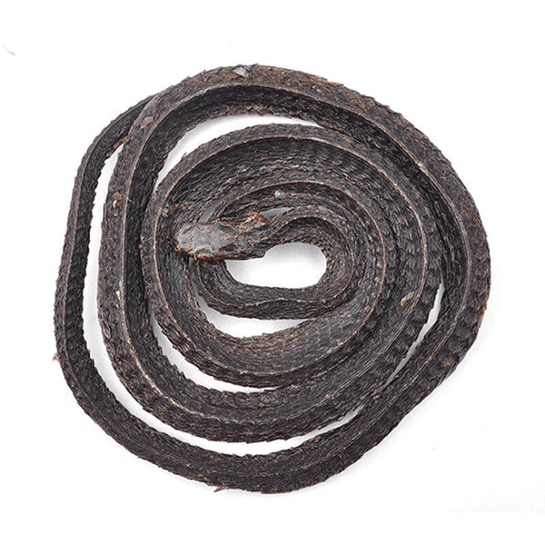 Black Snake Powder Fresh Ground Chinese Herbs Wū Shāo Shé Zaocys Dhumnades