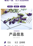 Butterfly Bean Flower Produce Dried Flowers Bulk Blue Butterfly Herbal Tea 500g