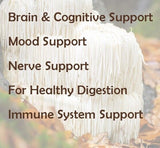 8.8oz Pure Extract for Focus & Cognitive Support Lion's Mane Mushroom Powder