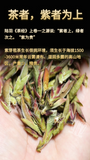 Yunnan Pu'er Tea Purple Buds Early Spring New Tea MingQian Spring Tea Nectar Tea