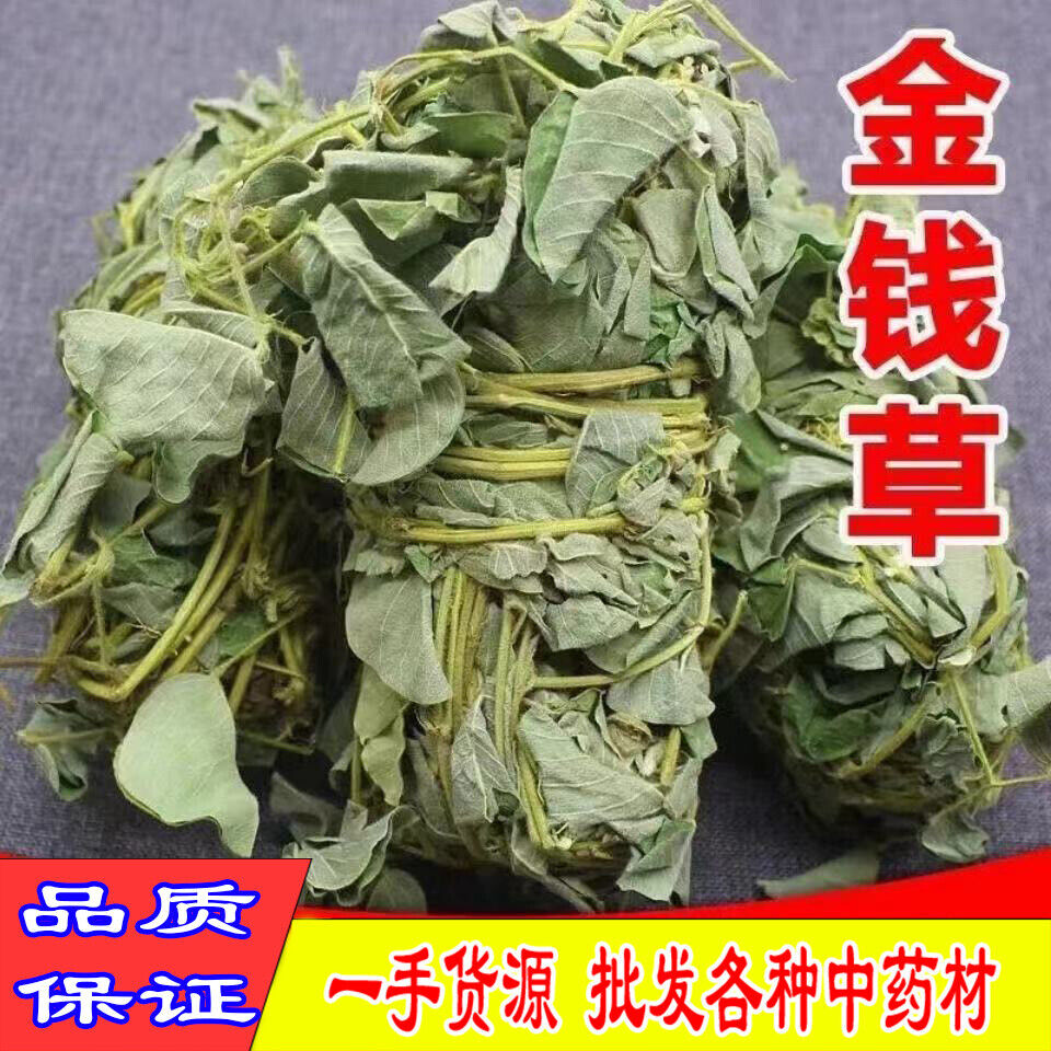 Wild Lysimachiae Herba Freshly Soaked in Water Non-sulfur Chinese Herbal Tea 金錢草