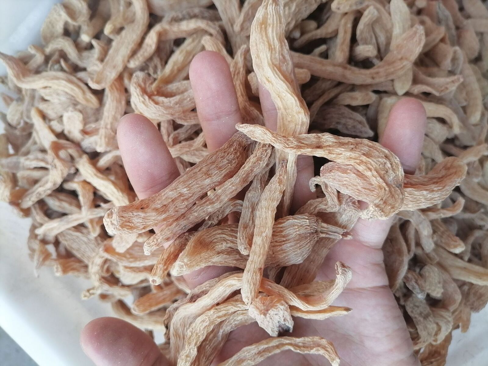 New Dried Tianma Yunnan Wu Tianma Tianma Slices Fresh Xiao Cao Ba 500/1.1lb